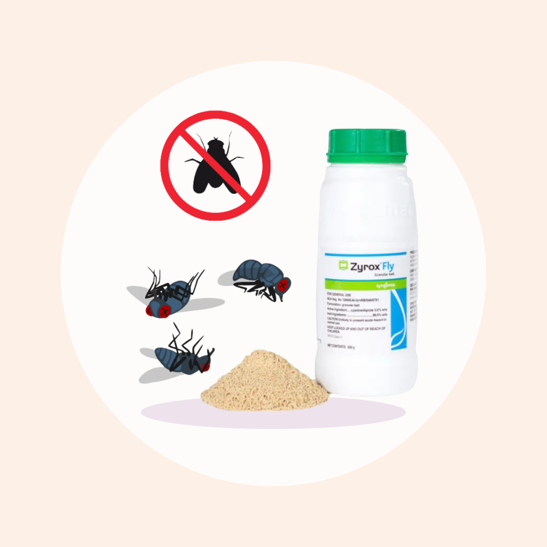 Syngenta Zyrox fly bait 500g - Sipar