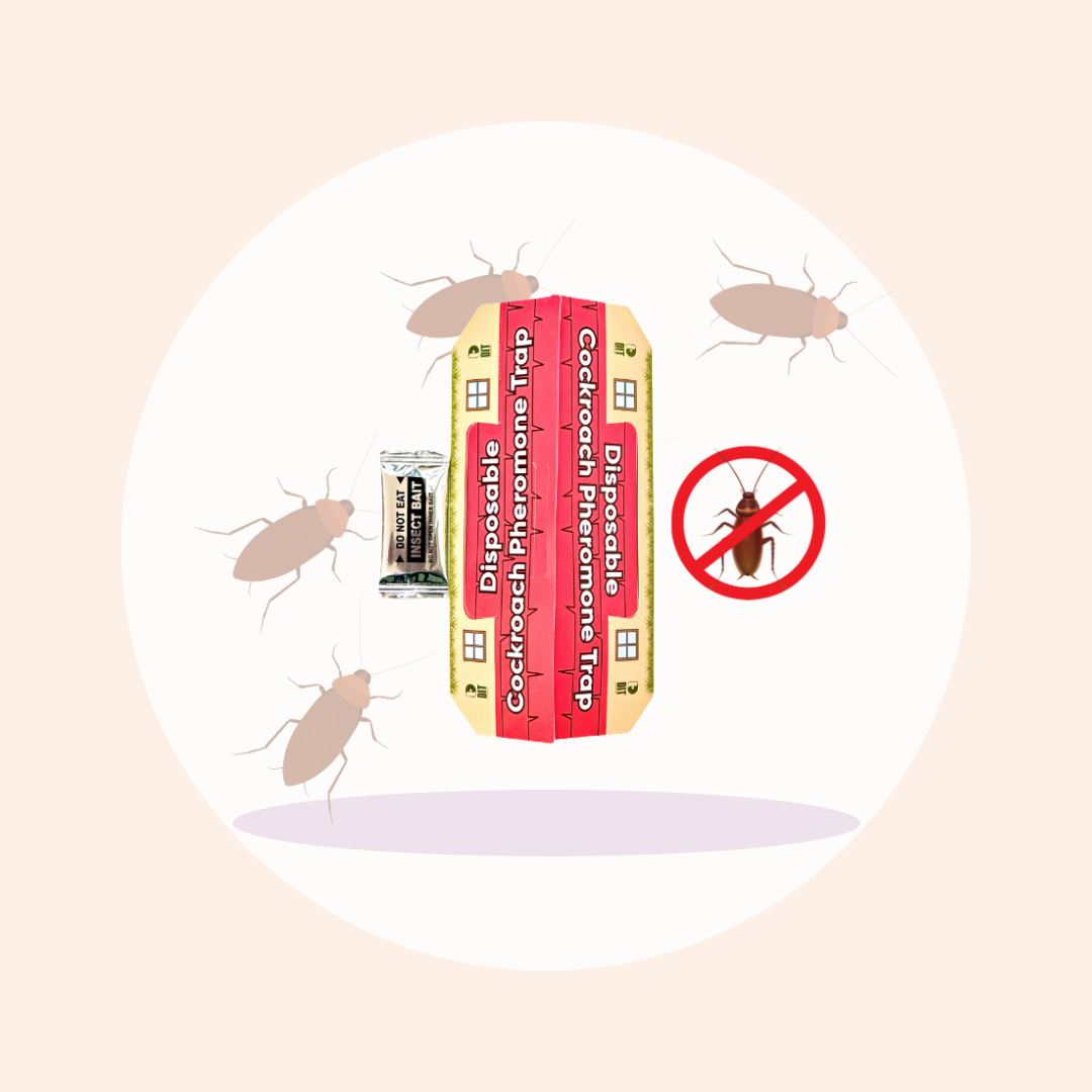 Cockroach pheromone trap - Sipar