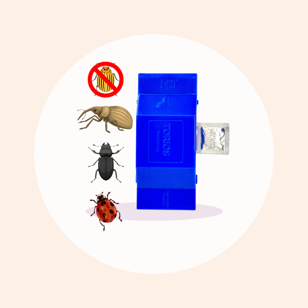 Torios weevil and beetle trap - Sipar