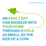 Klerat® Waxblocks by Syngenta – Professional Rodenticide for Rats & Mice