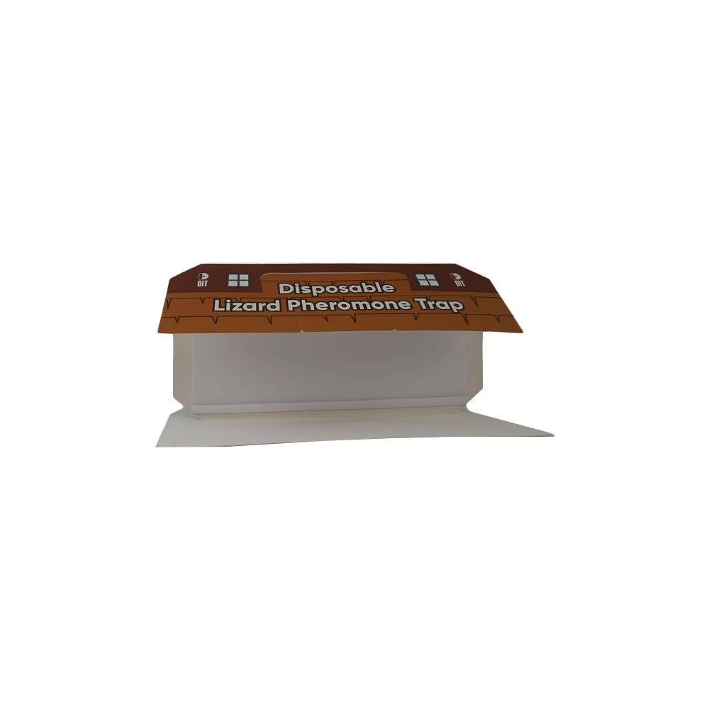 Disposable Lizard Pheromone Trap
