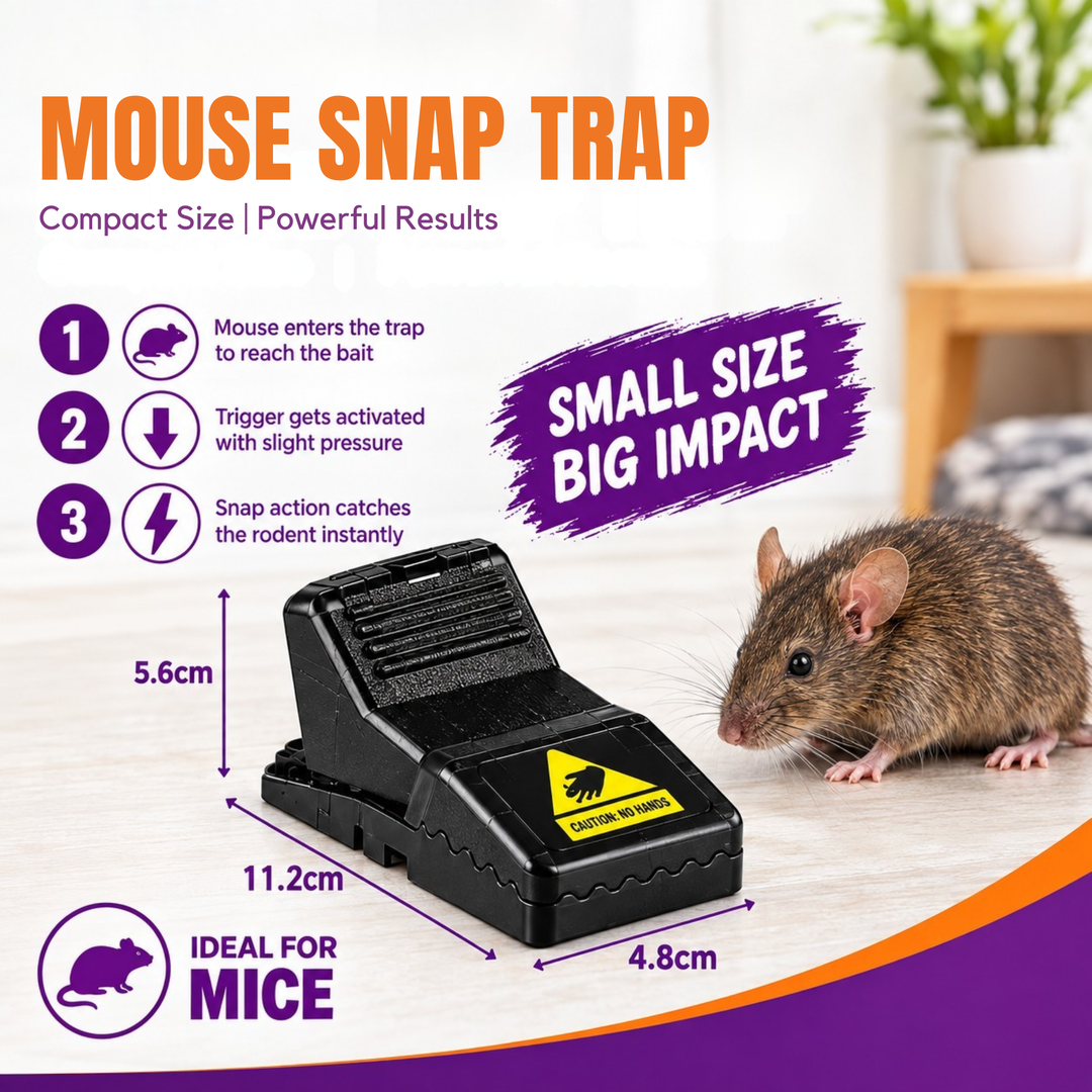 Snap Trap – Rat & Mouse Control Trap | Heavy-Duty & Compact Options