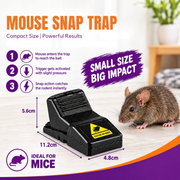 Snap Trap – Rat & Mouse Control Trap | Heavy-Duty & Compact Options